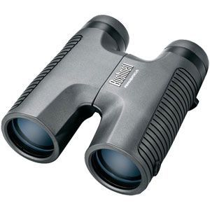 Bushnellʿ)Permafocus  171043  10x42 ԶԽ ȫĤ